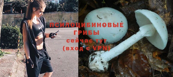 прущая мука Бронницы