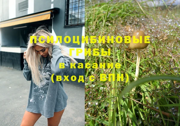 скорость Богданович